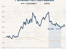 广发中证全指信息技术交易型开放式指数证券投资基金