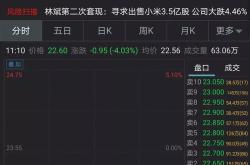 股票限额80亿的解释和建议