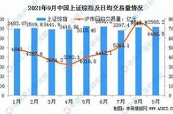 央行数据显示月份沪市日均交易量环比减少，市场动态分析