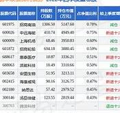 市场波动下的前海开源可转债债券净值下跌分析与投资展望