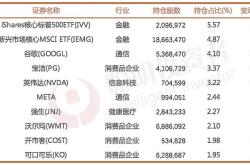 新闪电建仓策略资产加速与抱团现象深度解析