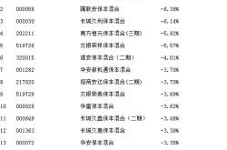 长盛安盈混合型基金的挑战跌超%与合同终止风险分析