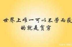 财务自由需要什么收入