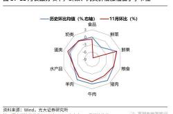 高瑞东与刘星辰解析大宗商品价格上涨的深层逻辑