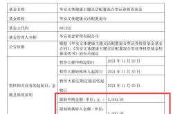 【调研笔记】汇丰晋信基金深度探访万业企业，揭秘行业新动向！