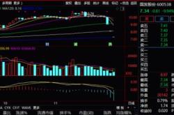 月日亚通股份涨停分析：上海自由贸易港，自由贸易港，上海国企改革概念热股