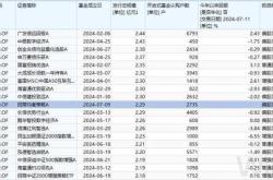 制定成功计划以投资招商优质成长基金