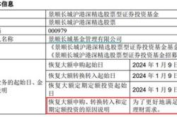 长盛成长价值财经方面的股票