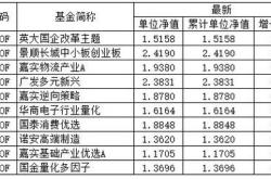 【财经视角】揭秘基金净值背后的故事