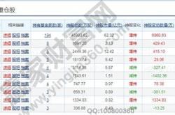 基金持仓金额是什么意思