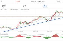 美股最大计划彻底泡汤！阿克曼撤回旗下封闭式基金的发行