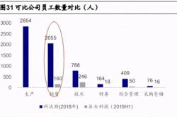 科沃斯（）月日主力资金净卖出万元