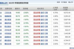 中欧基金称网传葛兰被抓是谣言