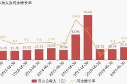 上半年归母净利润亿元宁王重回基金第一大重仓股