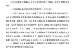 庚星股份选举董事长，正被调查律师征集股民维权