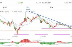 美皓集团月日发行万股代息股份