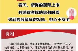 三年沦为两毛基，恒越基金旗下一发起式产品面临生死考验