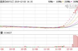 中润收重组监管问询函股价已连续个跌停