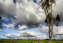 工信部投诉，如何有效解决问题的指南