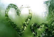 工信部投诉，如何有效解决问题的指南