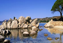 中国主席任期的历史演变与现代意义