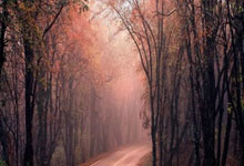 邢台市退休人员医保基金管理