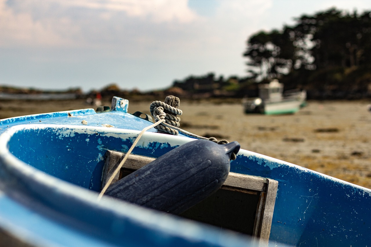 山东疫情新动态，新增12例本土无症状感染者，防控措施与公众应对指南