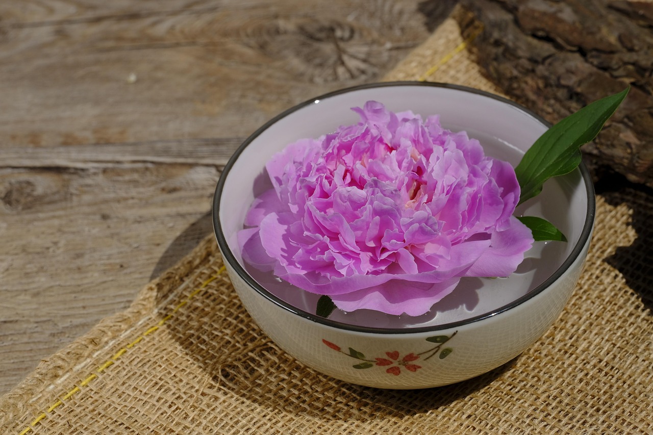 掌握疫情动态，全国疫情最新实时地图的深度解析