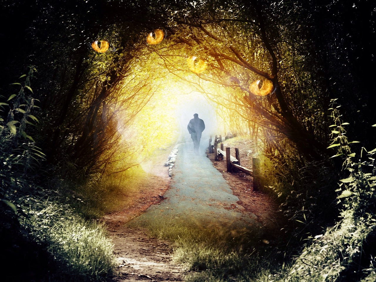 探索数字410004，一个神秘代码背后的故事