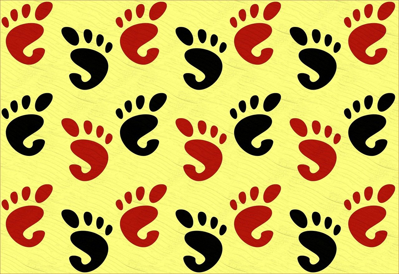 文化，人类社会的多彩画卷