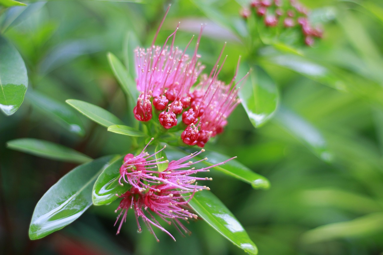 解析恒力股票走市，投资机会与市场动态